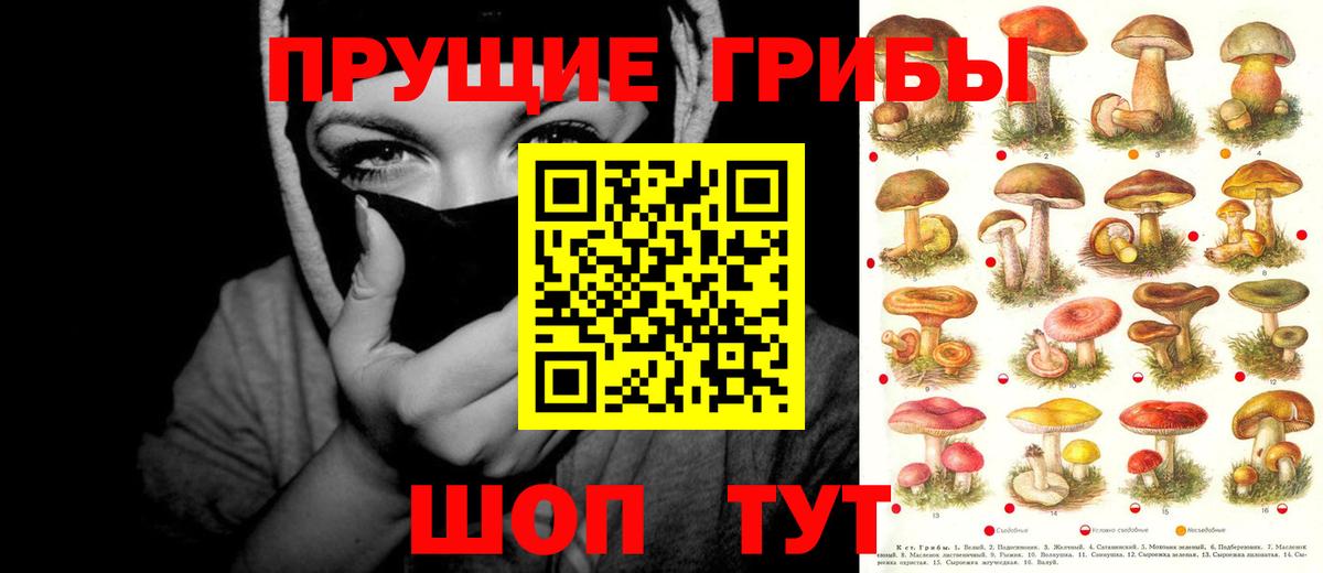 где продают наркотики  Вход с VPN  Советский  Псилоцибиновые грибы Psilocybine cubensis 